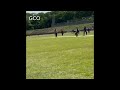 Kashif ny Viktoria ke vs shaanadaar ballebaajee kee or 100