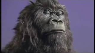 totally just cadbury's gorilla advert