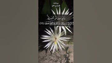 آية ١٥ "وإن جاهداك على أن تشرك بي ما ليس لك به علم" من سورة لقمان (٣ من ١٠ وصايا لقمان لابنه)