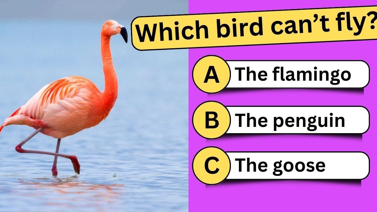 50 Mind-Blowing General Knowledge Questions to Test Your Genius Level ...