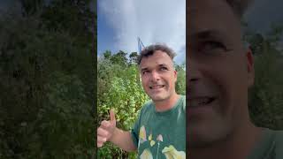 Германия уже не та #лайфхаки #советы #lifehacks #tips #юмор #шутка #jokes