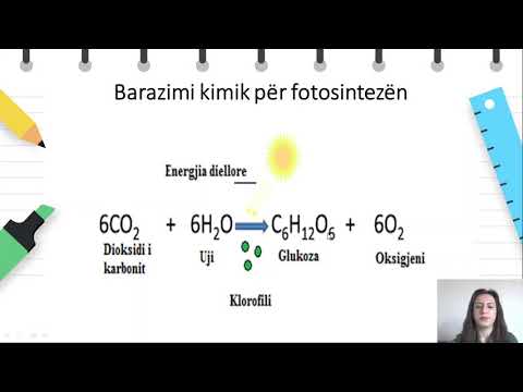 Video: Cili është qëllimi i ATP si në frymëmarrjen qelizore ashtu edhe në fotosintezën?