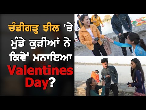 Valentine`s day celebrations at Sukhna lake Chandigarh