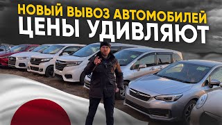 Всё о ценах на Авто из Японии / Середина Ноября