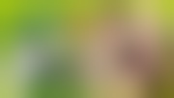 How to Dab for Beginners