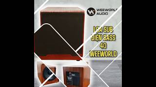 Loa Sub in Weeworld Bass 40 Nhp Khu Chnh Hng pinsac