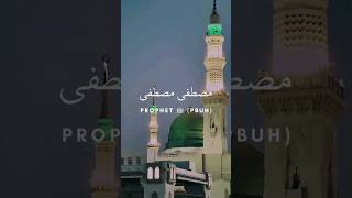 Mustafa Mustafa Mishary Bin Rashid Alafasy مصطفى مشاري راشد العفاسي With Lyrics Translation