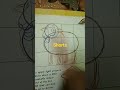 sheep###drawing ##lambo ##avi ##art ###sketch ###wool ##flocked