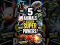 5 Animals With Real Superpowers 🤯 #shorts #viralshorts #animalfacts #wildlife #animals #factshorts