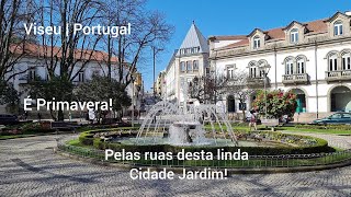 Passeando pelas Ruas de Viseu e conhecendo a Feira de Antiguidades e Velharias em Portugal