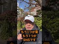 参政党大躍進 2026年衆議院選挙総括参政党15議席獲得から始まった・設立5年で衆15・参15=計30議席規模は歴史的・得票約420万票、短期間での拡大は異例 #参政党#衆議院選挙#日本の未来