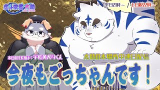 今夜もごっちゃんです！太助の本場所中連日配信【五月場所七日目】