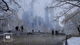 Perfect SNOW DAY in CENTRAL PARK ❄️ The Mall, Wollman Rink & Central Park South Views