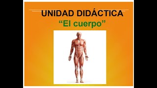 Vocabulario Con Pictogramas Y Signos Schaeffer Del Cuerpo Pt, Al, Tea