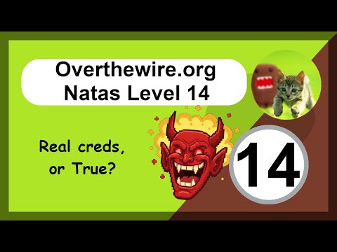 Overthewire - Natas - Level 14 - Web App Hacking - SQL Injection: Login Bypass