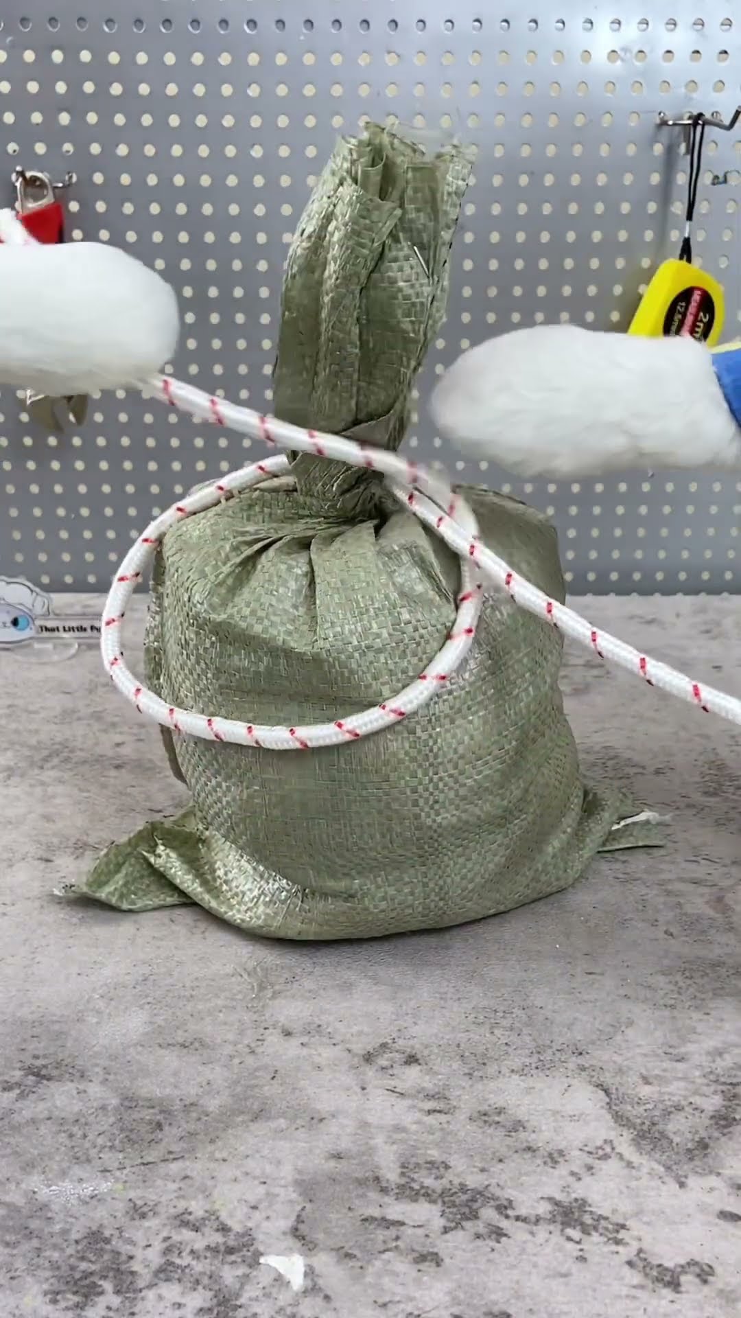 ? Puff's guide to tying your money bag—purely hypothetical, of course! ?? #thatlittlepuff