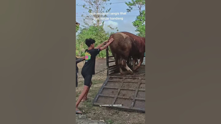 Tidak terlupakan