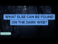 WHAT ELSE CAN BE FOUND ON THE DARK WEB?