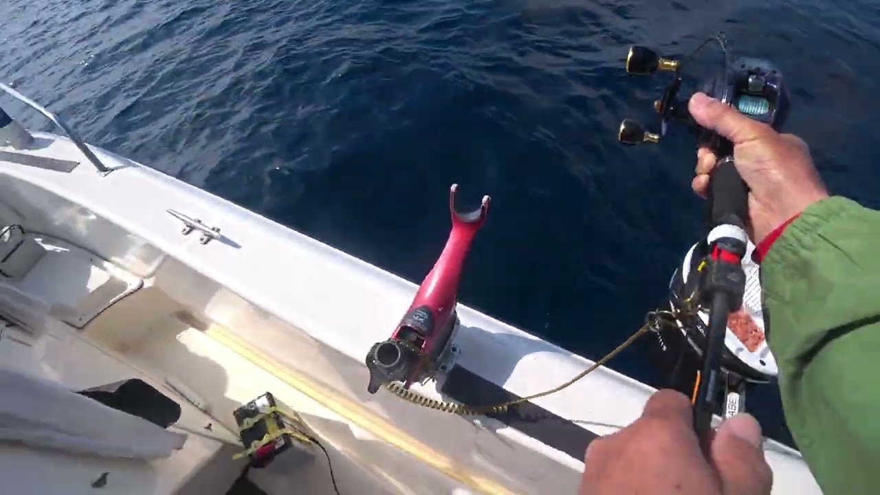 260222アマダイWヒット！　　　MAH03761