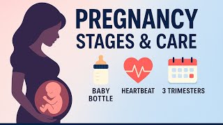 Pregnancy simplified | trimester stages and delivery 