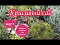 Март.Красивый Сад.Что делать?Советы.Ответы.Барбарисы.Когда стричь.Поступило Предложение"Есть Идея!!"