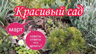 видео: Март.Красивый Сад.Что делать?Советы.Ответы.Барбарисы.Когда стричь.Поступило Предложение картинка: Март.Красивый Сад.Что делать?Советы.Ответы.Барбарисы.Когда стричь.Поступило Предложение