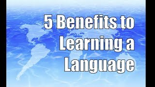 5 Benefits You Didn't Know for Learning a New Language
