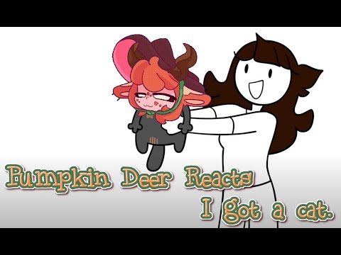 Pumpkin Deer Reacts to Jaiden Animations' "I got a cat." ~Gourdie's Reactions~