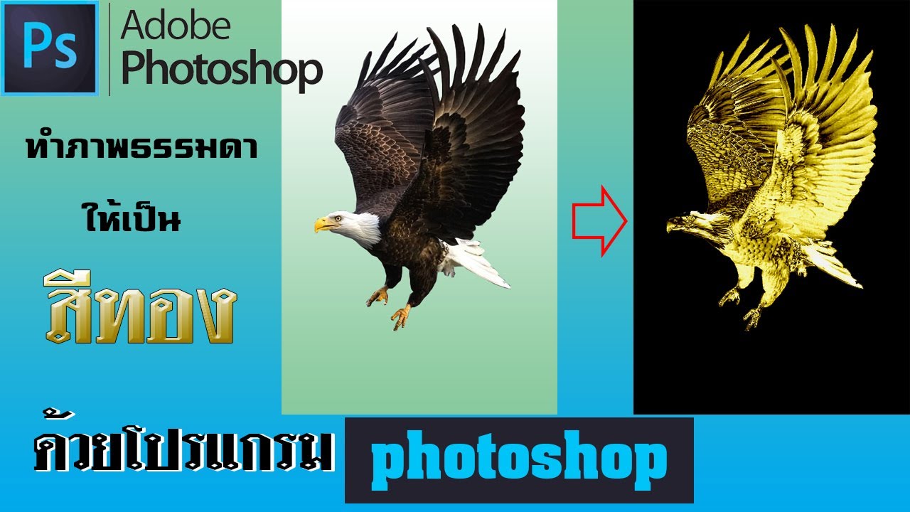 photoshop สีทอง  New  ทำภาพธรรมดาให้เป็นสีทองด้วยโปรแกรม photoshop CS6 Ep.2 | Gold object photoshop.