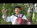 гармонист Владимир Зюзин (с . Губари) — интервью