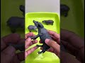 Asmr Safari Jungle Farm Animal Toys | Buffalo Elephant Hippo and Rhinoceros #satisfying