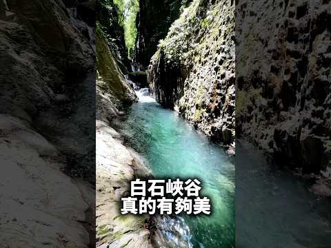 新竹超美的白石一線天完整攻略可以參考YT正片 #薩克亞金溪 #白石溪 #白石峽谷 #waterfall #瀑布 #秘境