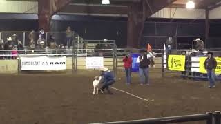 2018 ACA Finals Round 2