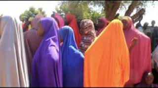 DISTRIBUTION OF NFI KITS TO TUNGUSHE RETURNEES (KONDUGA LGA) OF BORNO STATE