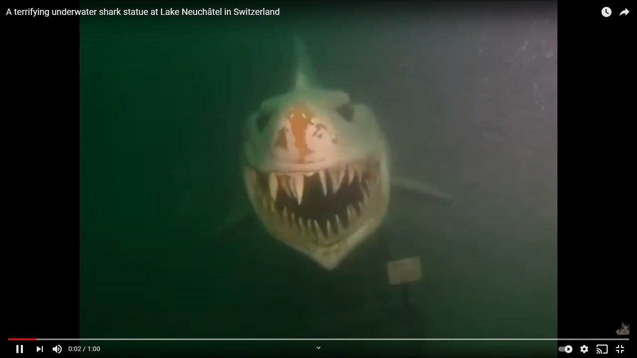 Terrifying Neuchatel Shark Statue YouTube