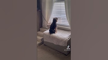 ✨Procreate Painting 🎨 | #art #artist #shorts #procreate