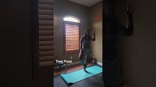 Yoga Journey: Tree Pose 🌳 making it more solid with practice. Stay tuned #yogashorts #yogajourney