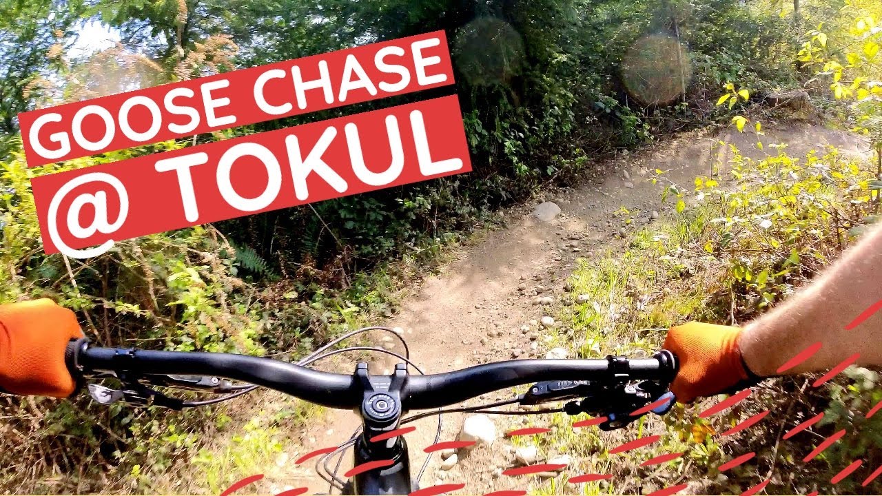tokul mtb