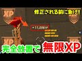 【修正前に急げ!!】完全放置で大量にXPが稼げる！無限XPバグのやり方を紹介!!【フォートナイト/Fortnite】【チャプター３最新】AFK XP Glitch