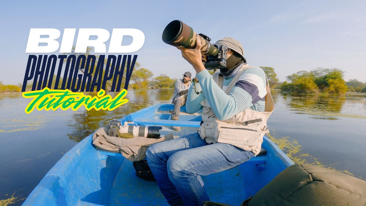 How to click birds in flight - Wildlife Photography Tutorial