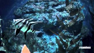 Samless Aquarium