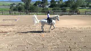 How to Ride the Parallel Sidepass Rail
