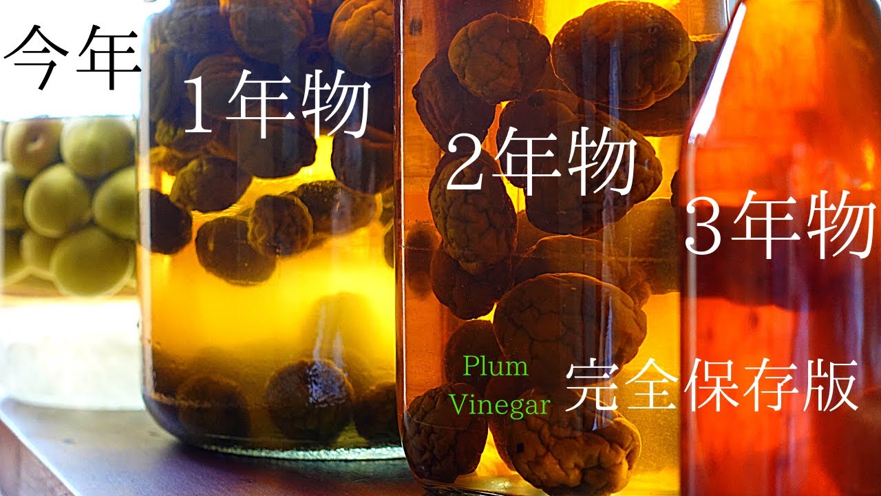 酢を使った【梅シロップの作り方】明治から150年続く～保存食の梅仕事