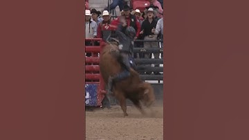 Stran Smith / 652 Rock Super Star of RockinYB Bucking Bulls #INFR 2022 performance 4