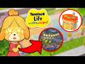 La tua isola di Tomodachi life è INCOMPLETA senza questo oggetto!