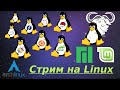 GNU/Linux. Вечерник! Bodhi Linux.