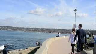 marriage proposal ideas in san diego