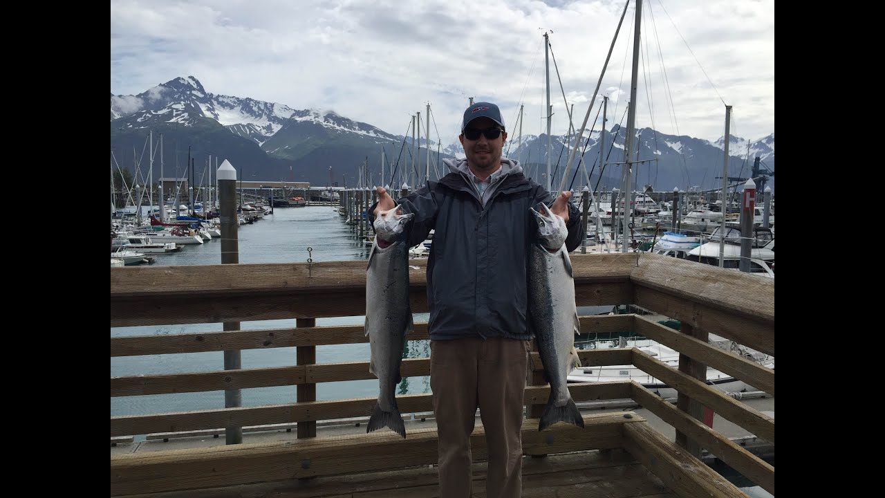 Seward Alaska Salmon Fishing Trip YouTube