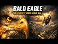 Eagle: The Deadliest Vision in the Sky