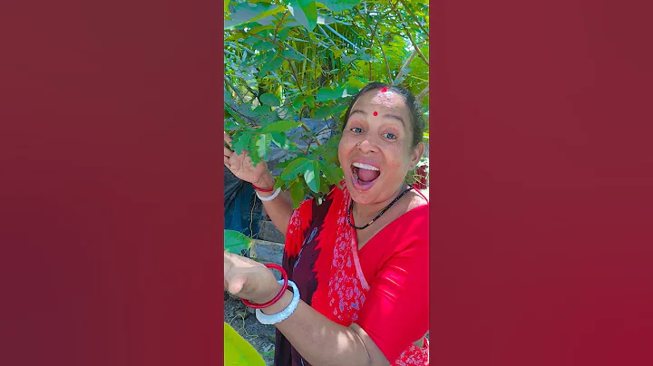 Introducing the vitawear SmartBand," a next-generation wearable gadget P21540:07f197"